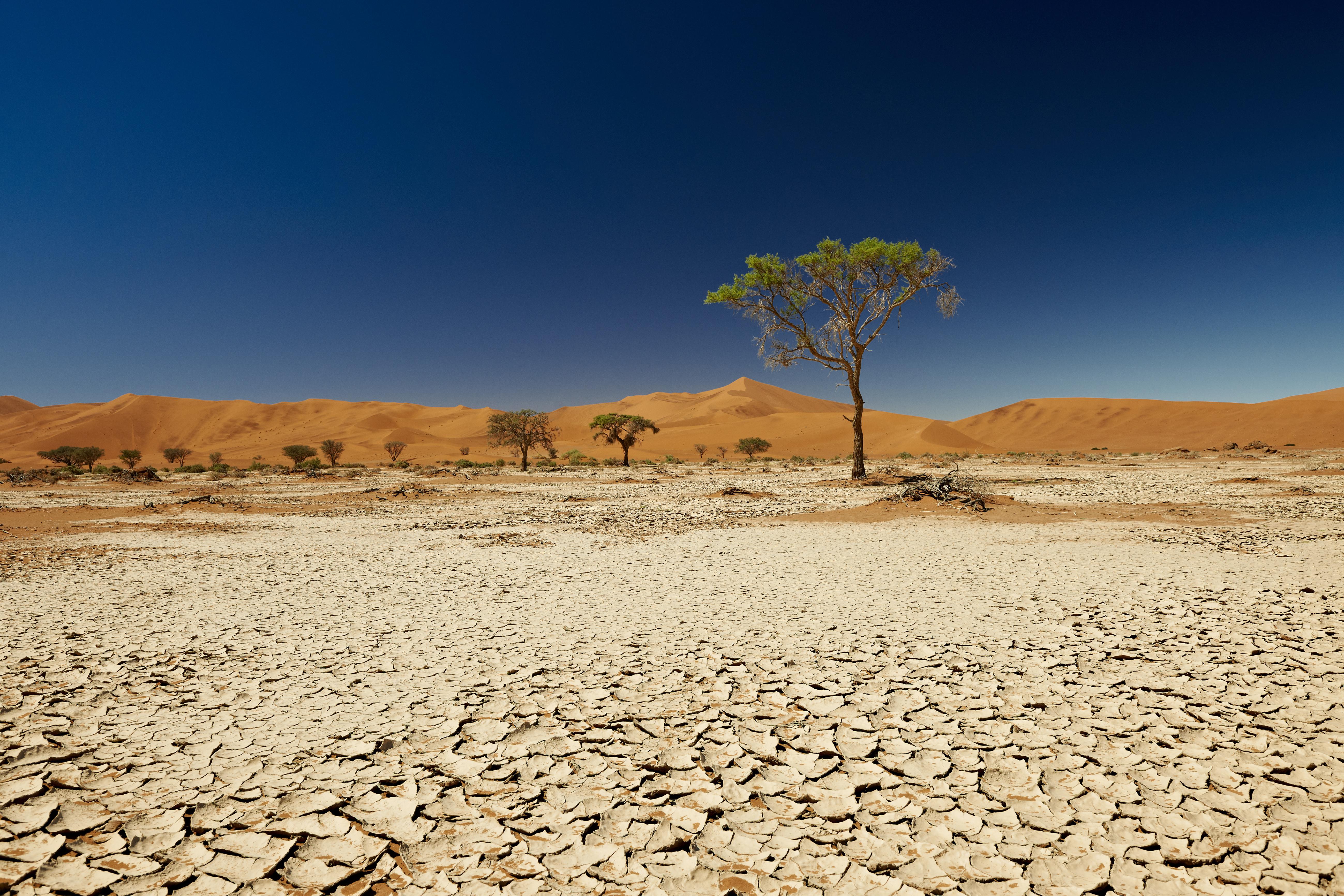 desert Landscape of Namib at Sossusvlei, Namibia