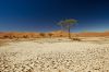 desert Landscape of Namib at Sossusvlei, Namibia