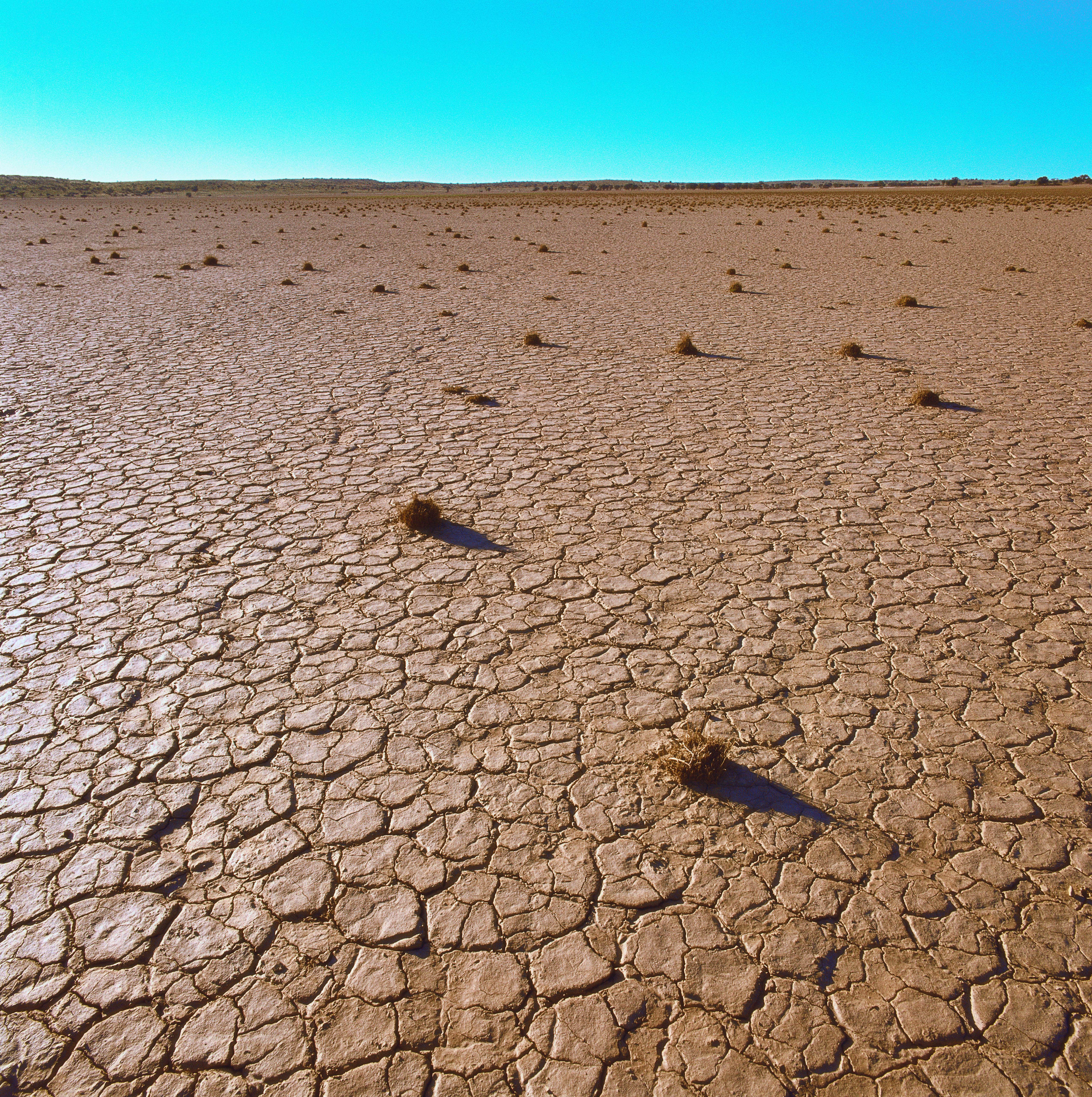 landscape view of parched cracked earth