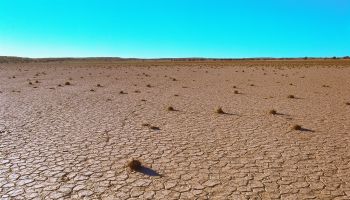 landscape view of parched cracked earth