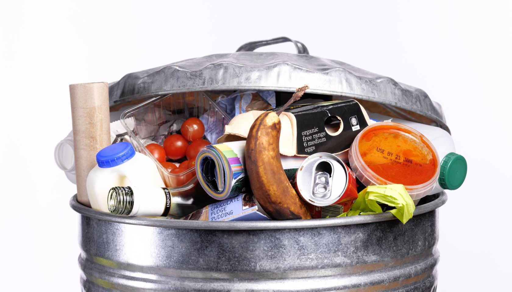 Out of date rotting food in dustbin