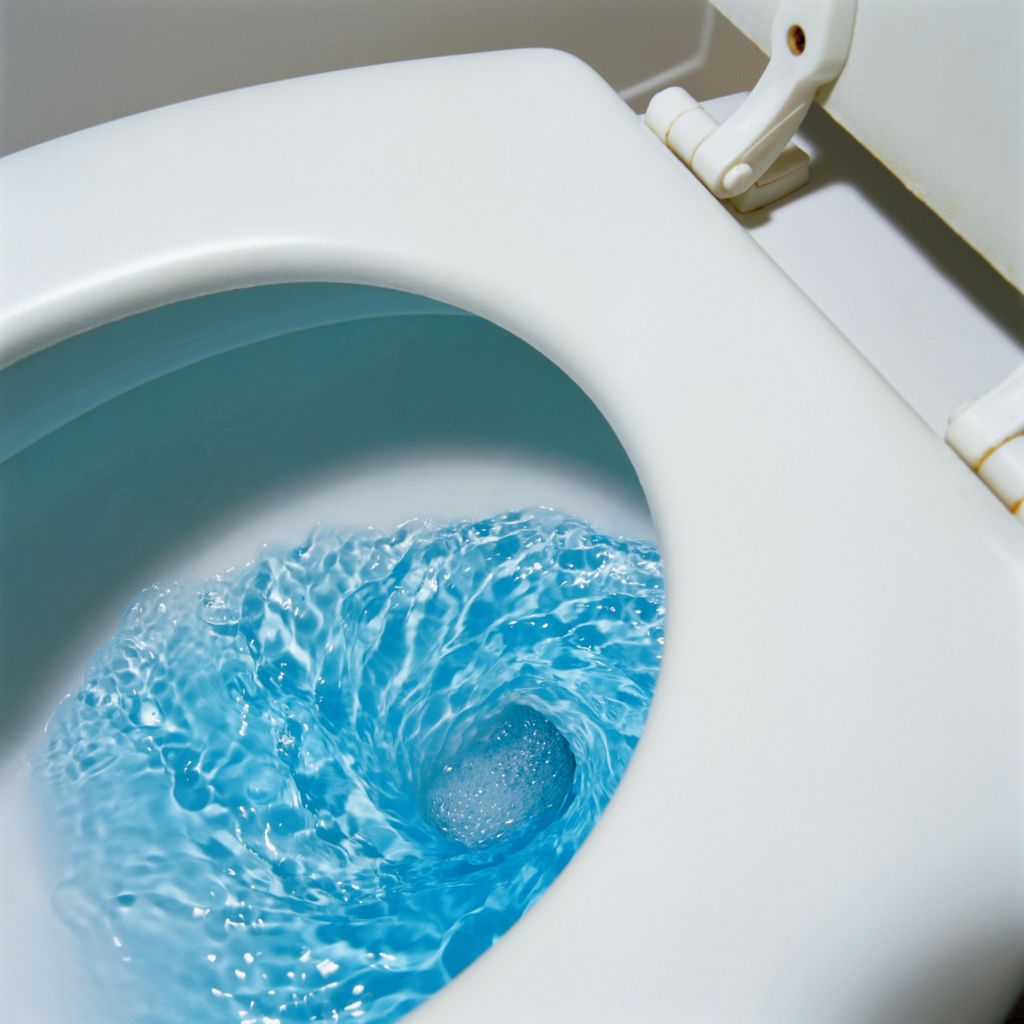 Flushing Toilet
