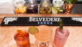 Christian Siriano NYFW 10th Anniversary Collection After Party With Belvedere Vodka