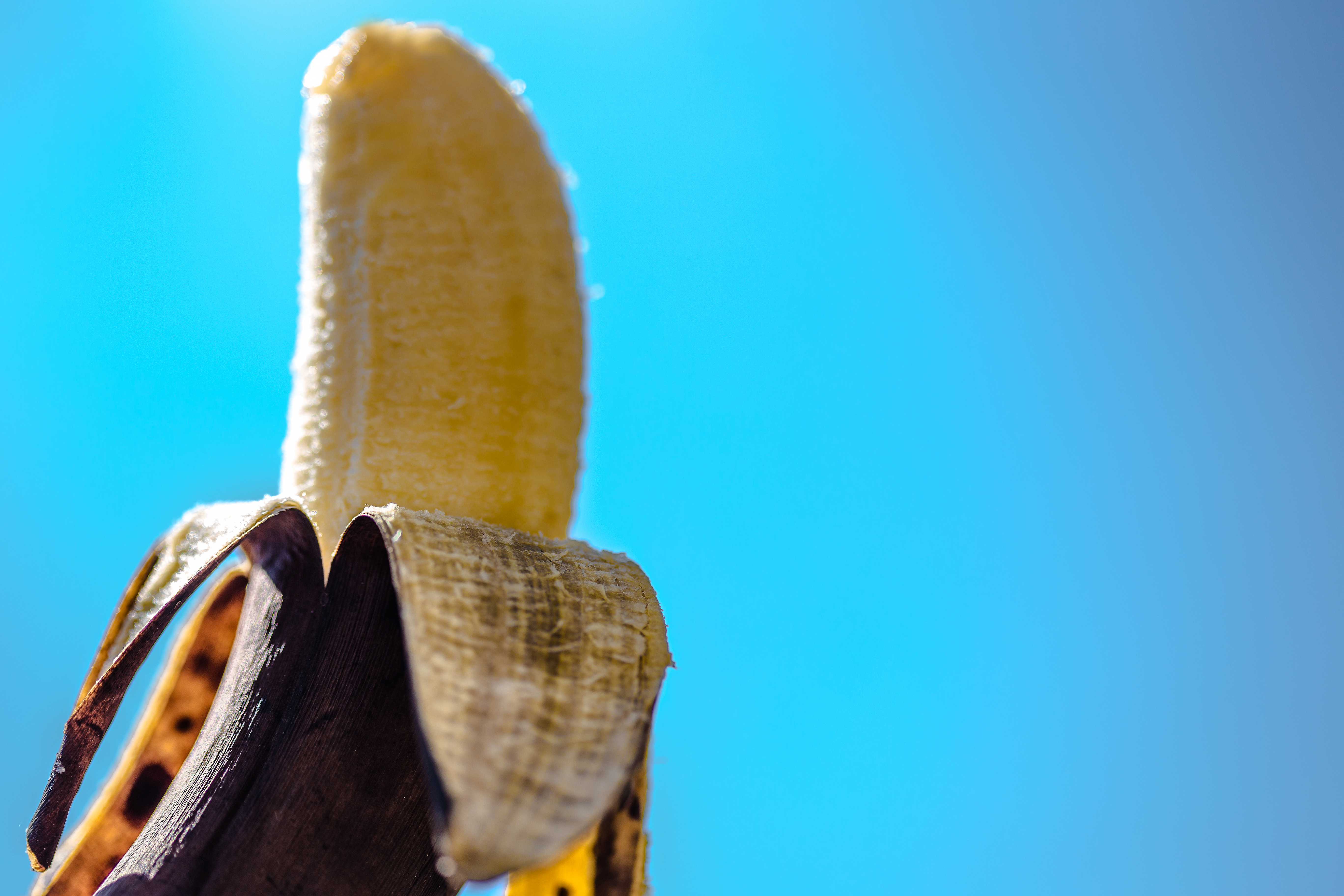 Close-Up Of Banana Against Clear Blue Sky