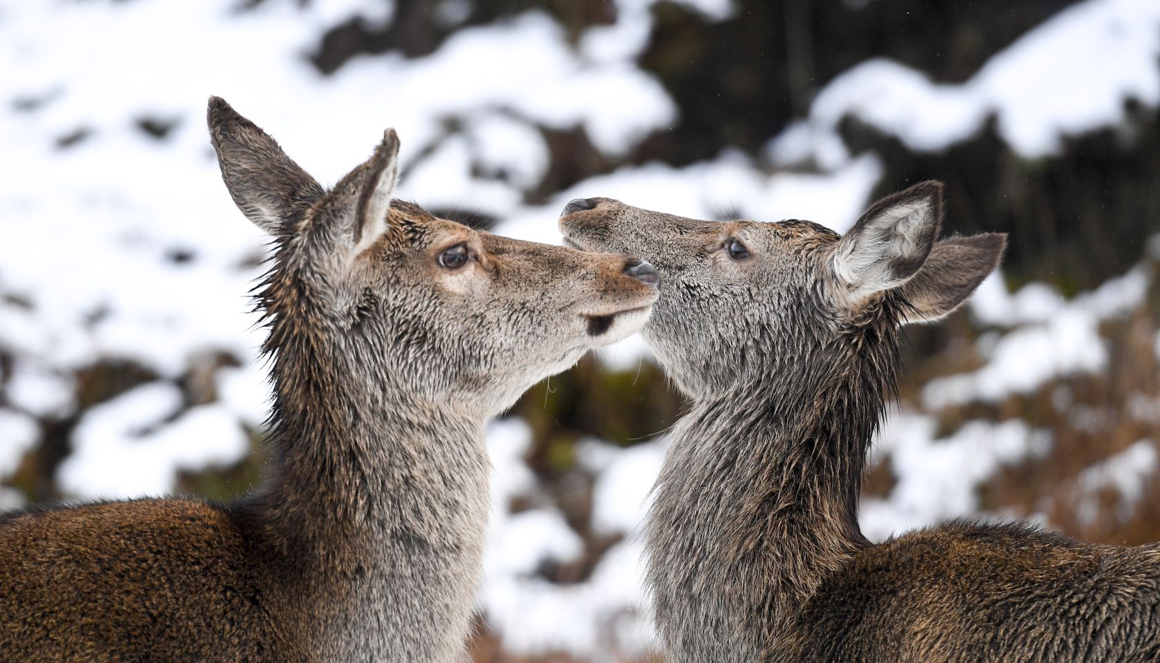 Chilly Tuesday in Scotland