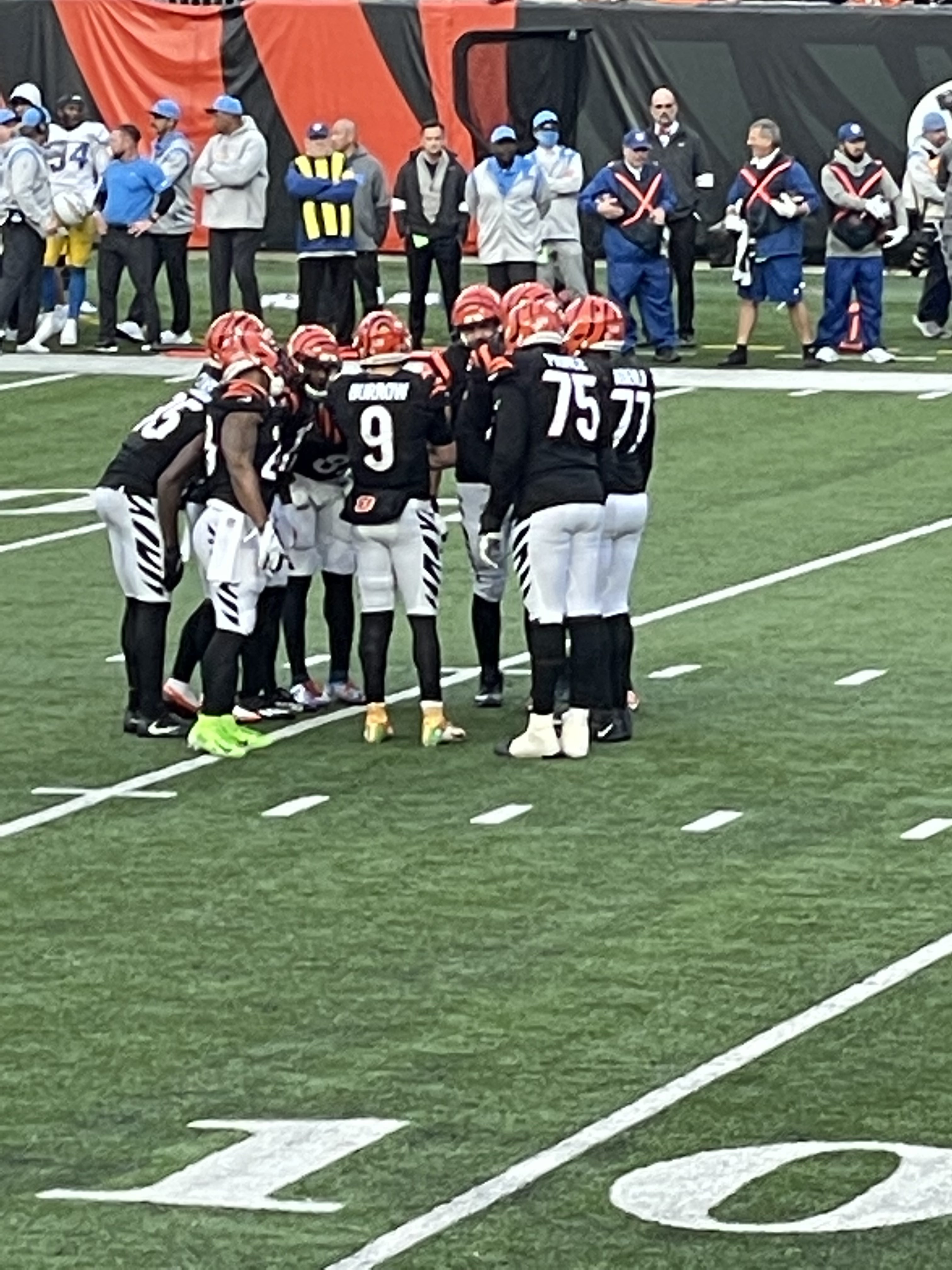Cincinnati Bengals