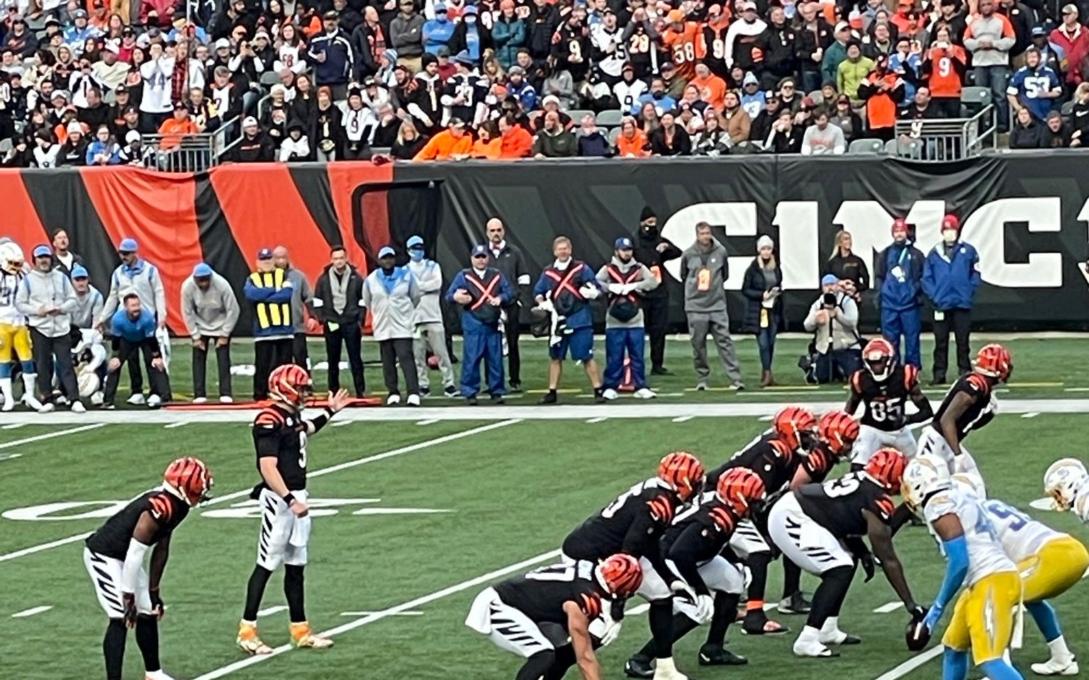 Cincinnati Bengals