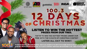 12 Days of Christmas Promotion
