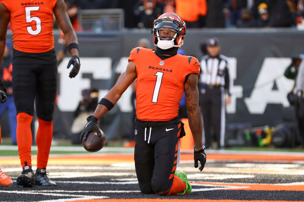 NFL: DEC 01 Steelers at Bengals