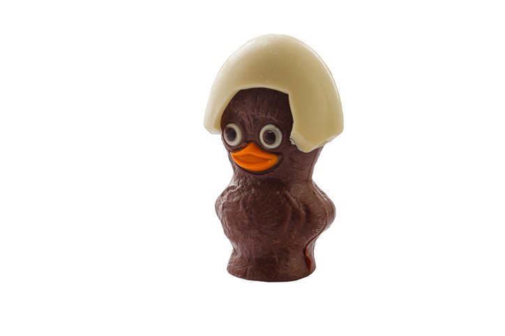 Chocolate duckling isolated on white background