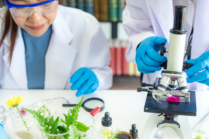 Close up hands woman science lab research for Natural alternative herb and essential oil from fresh flower new product skin care with microscope in laboratory.