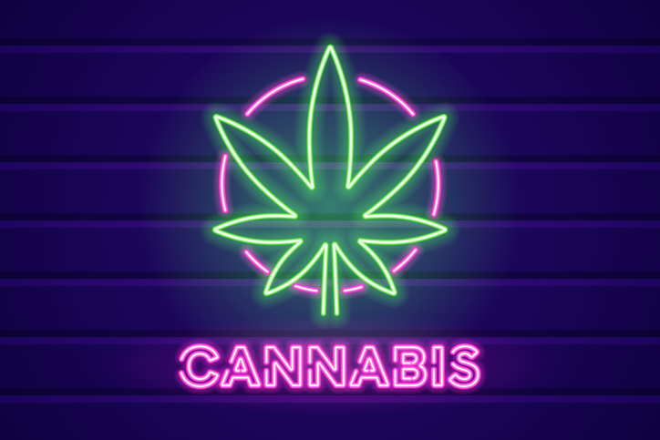 Neon sign with cannabis leaf and font. Glowing signboard of medical marijuana shop. Legalization of cannabis. Drug addiction. Element for your design. Vector illustration.
