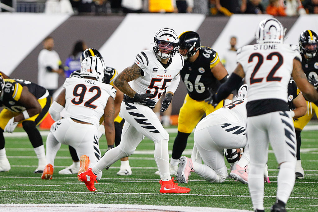 NFL: OCT 16 Steelers at Bengals
