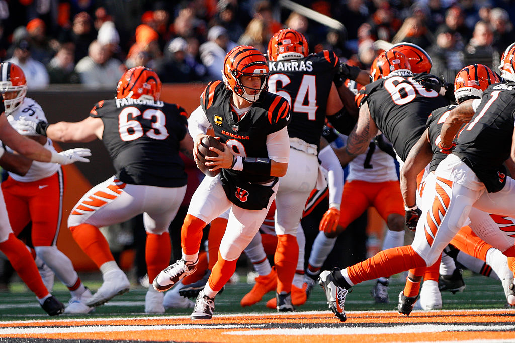 NFL: JAN 04 Browns at Bengals