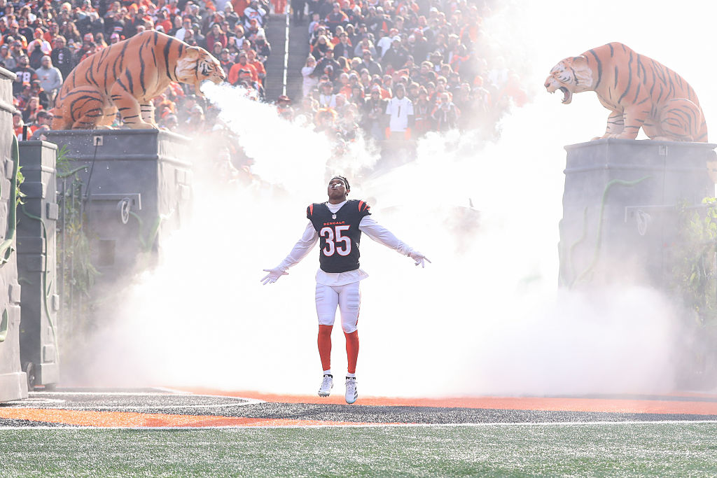 NFL: JAN 04 Browns at Bengals