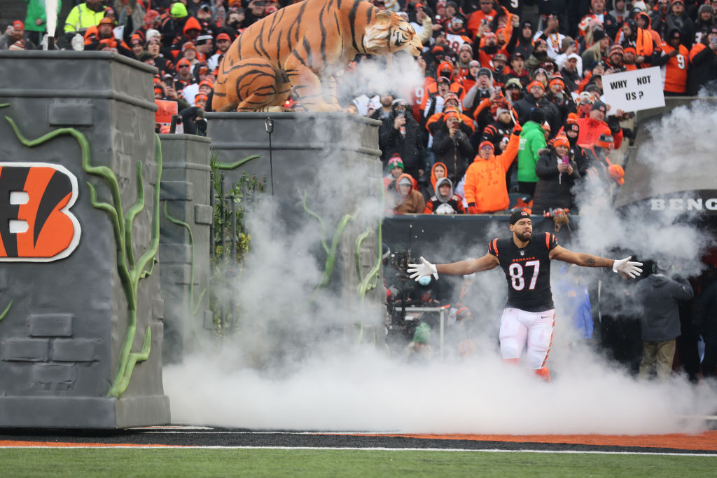 Las Vegas Raiders v Cincinnati Bengals